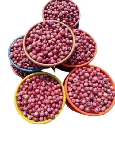 Small Red Onion