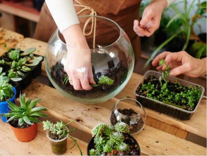 Terrarium Kit As Plant Return Gifts