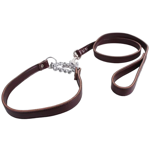 Dog Belt