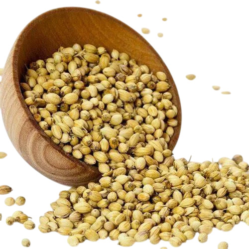 Dry Coriander By Krishna Industries