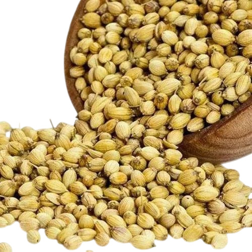 Hybrid Coriander