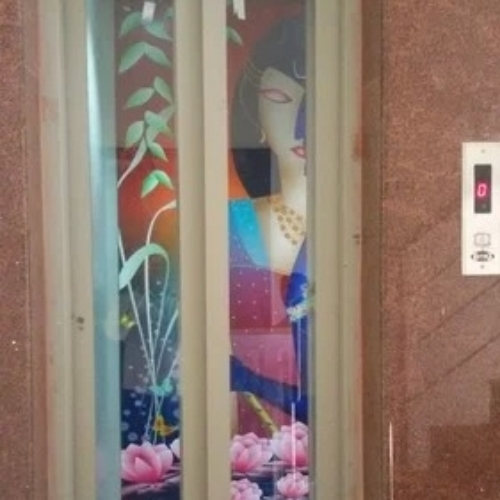 High Design Passenger Lift