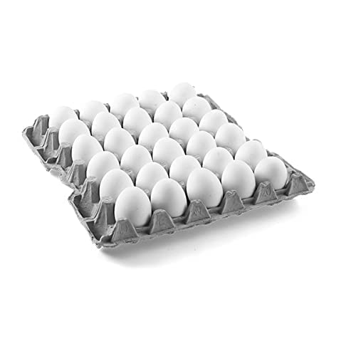 Poultry Eggs