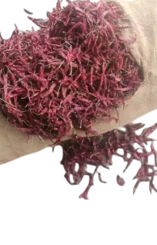 Byadgi Dry Red Chilli