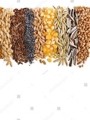 Cereals, Grains, Seeds And Pulses
