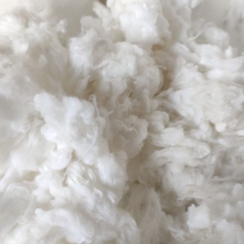 Cotton Wool Roll
