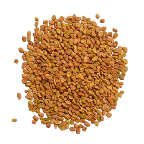 Fenugreek Seed