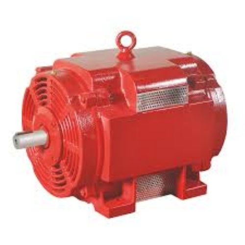 Fire Pump Motor