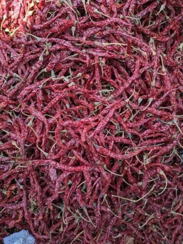 New Corp Dry Red Chilli