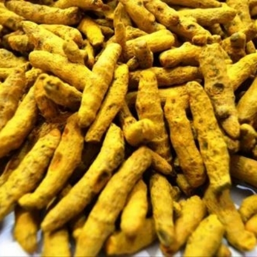 Organic Turmeric