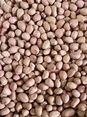 Roasted Peanuts
