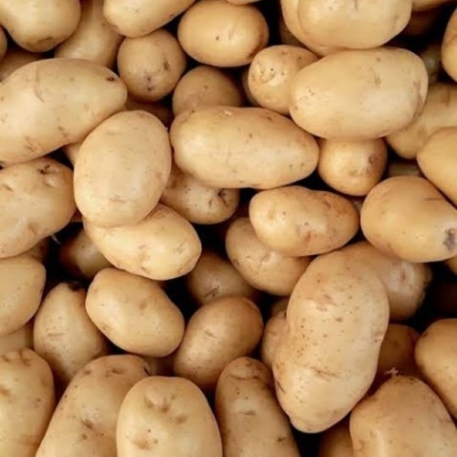 Brown A Grade Chip Sona Fresh Potato