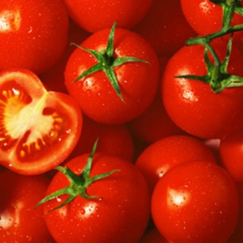 Hybrid Fresh Tomato