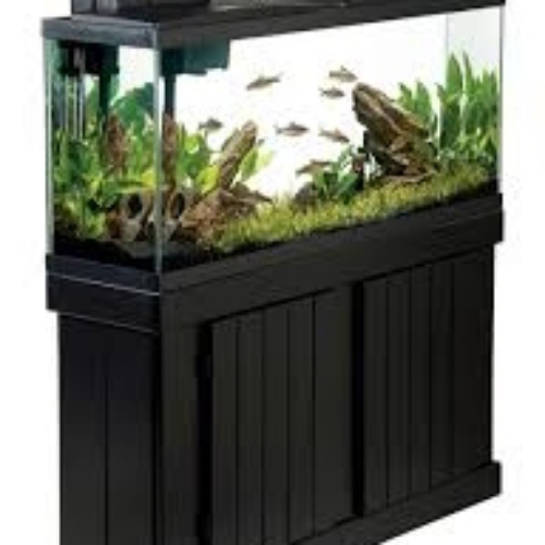 Gallon Aquarium