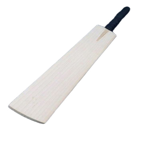 Popular Willow Cricket Bats