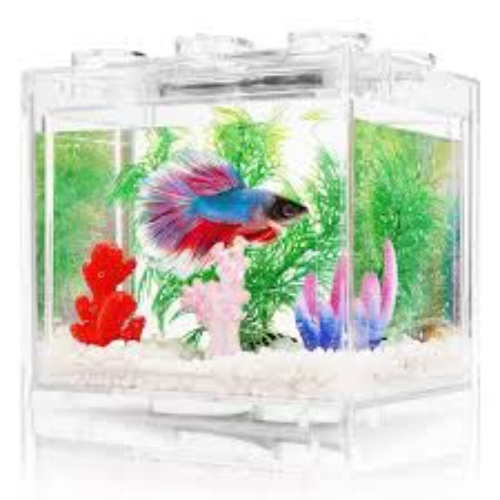 Small Betta Fish Tank
