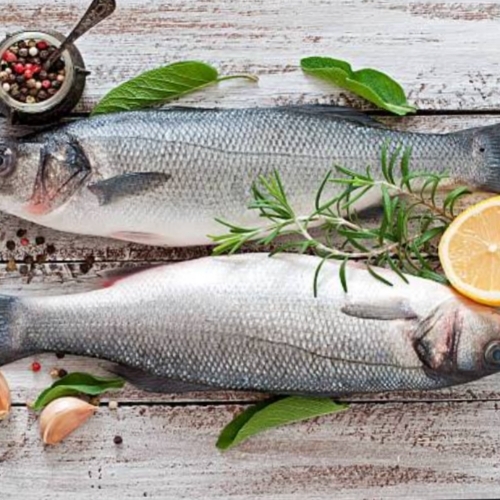 Fresh fish