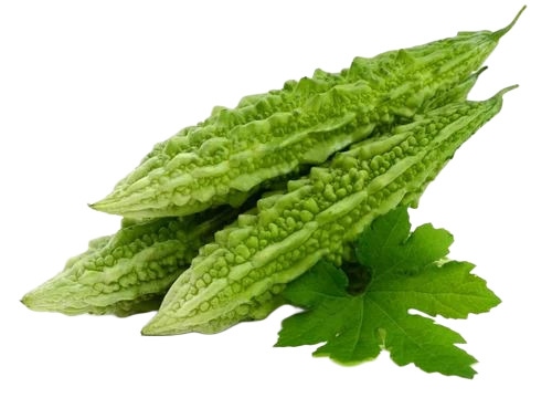 Bitter Gourd