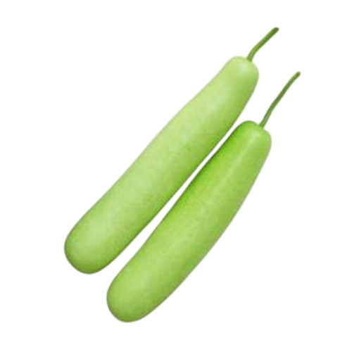 Bottle Gourd