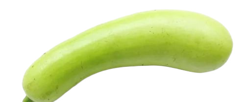 Bottle Gourd