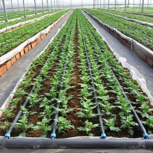 Drip Irrigation Pipes System