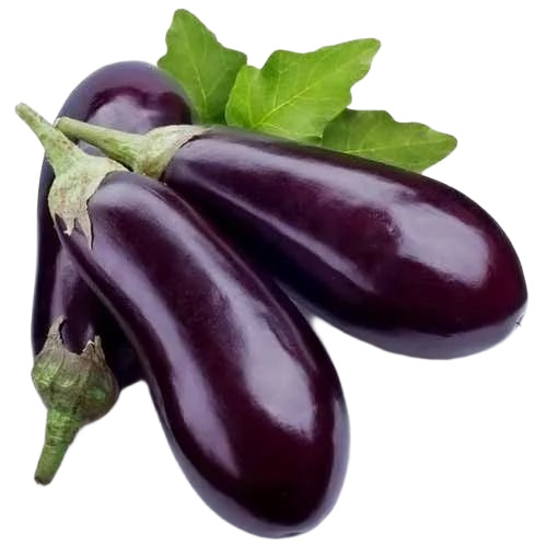 Fresh Brinjal