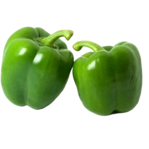 Fresh Capsicum