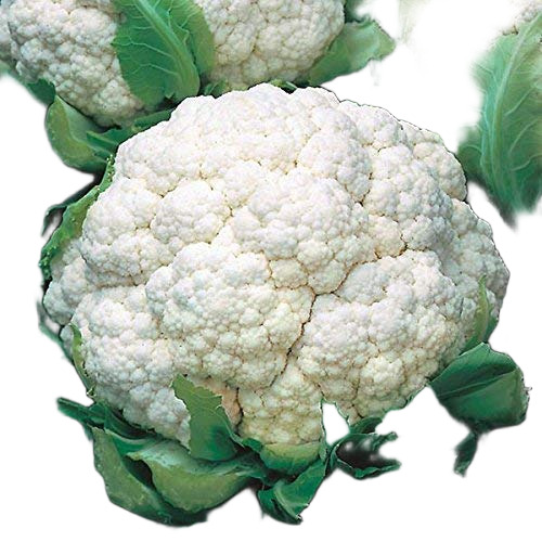 Fresh Cauliflower