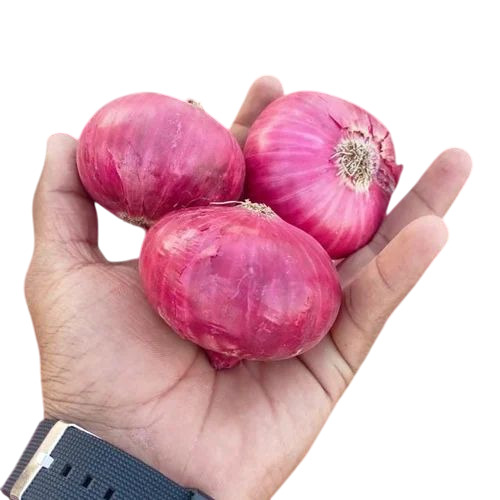 Fresh Onion