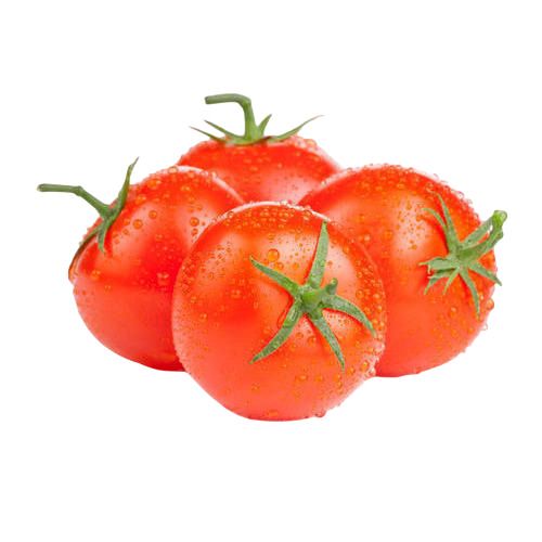 Fresh Tomato