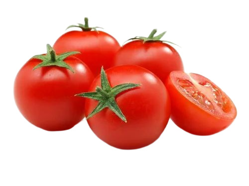 Fresh Tomato