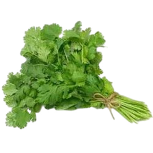 Green Coriander Leaf