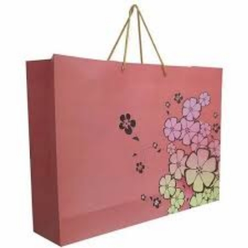 Printed Paper Bag 