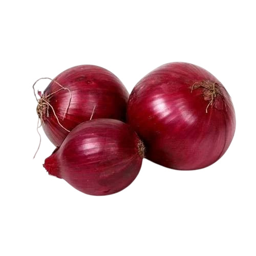 Red Onion