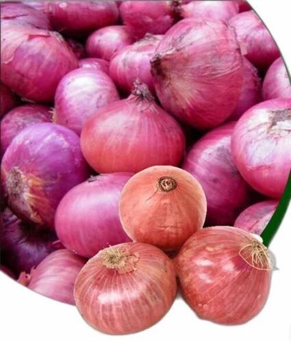 Red Onion