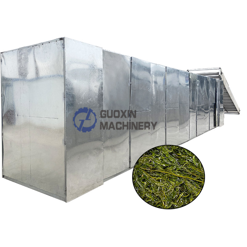 Algae Kelp Mesh Belt Dryer Machine Sargassum Cleaning And Drying Machine Seaweed Mesh Belt Dryer Machine