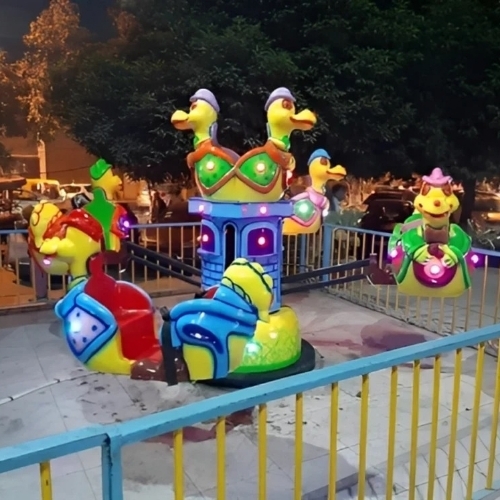 Duck Amusement Ride