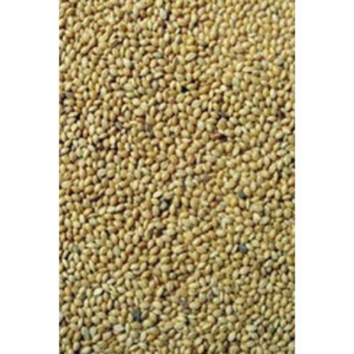 Yellow Millet
