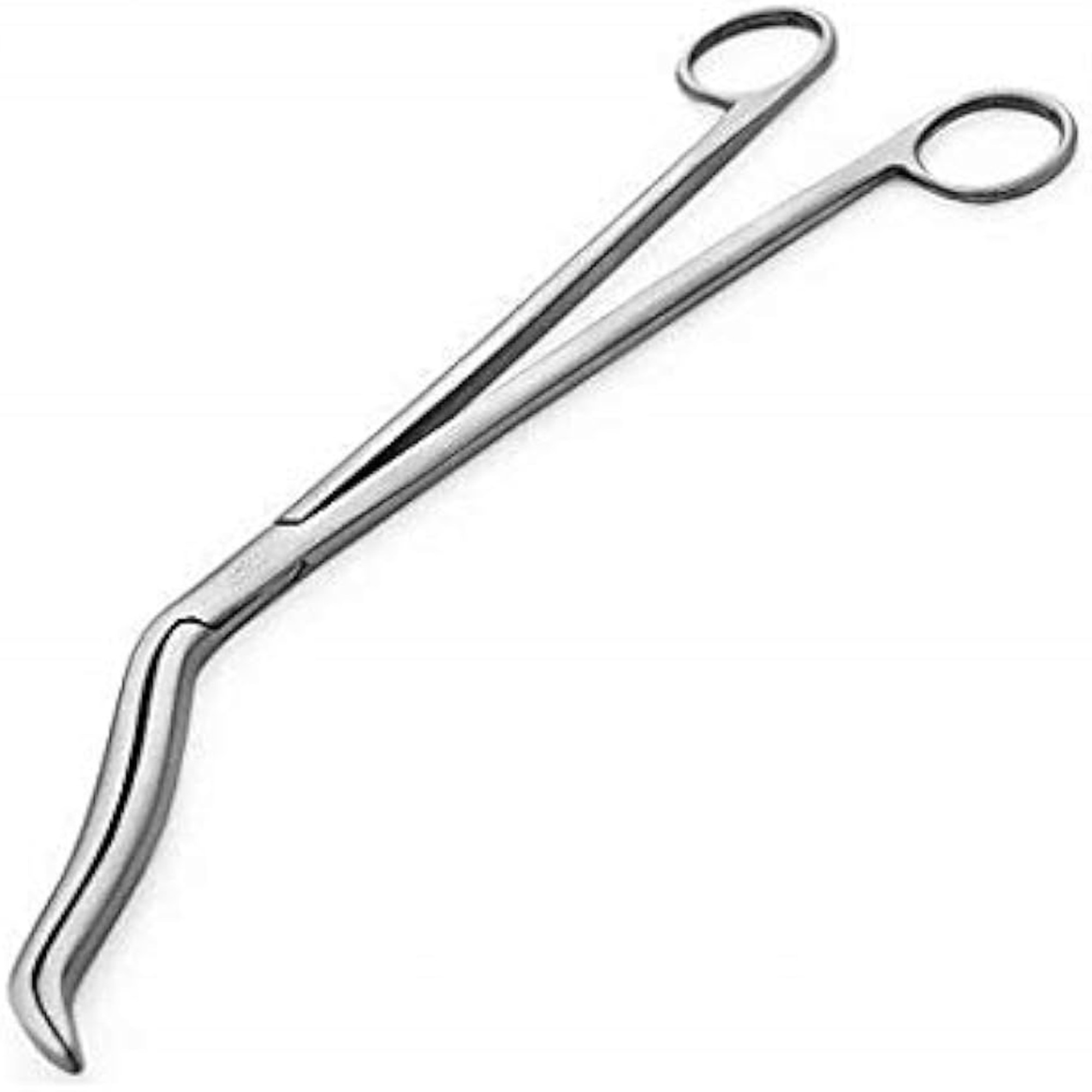 Agarwals Cheatle Forcep 10" - Material: Steel