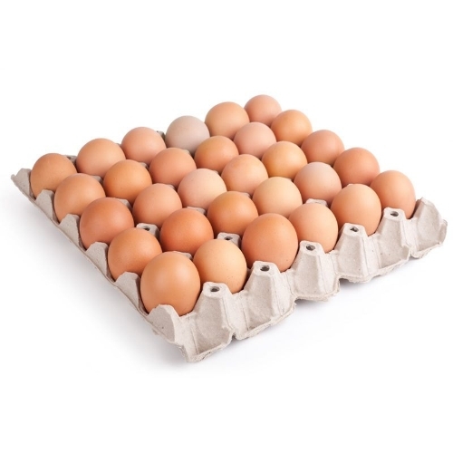 Brown Eggs