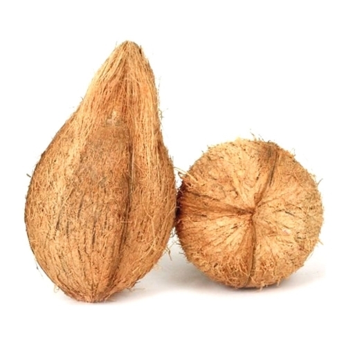 Dried Coconuts By Shurya Whole Selers & General Merchants.