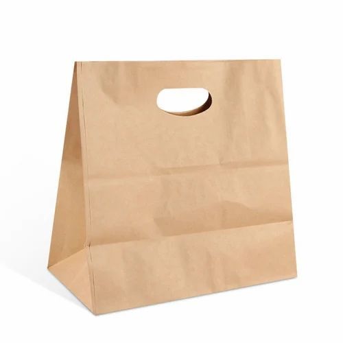 Paper Carry Bag