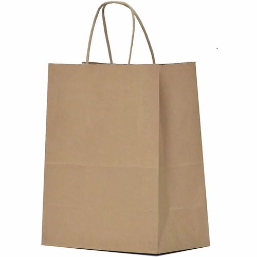 Retail Shop Kraft Paper Carry Bag