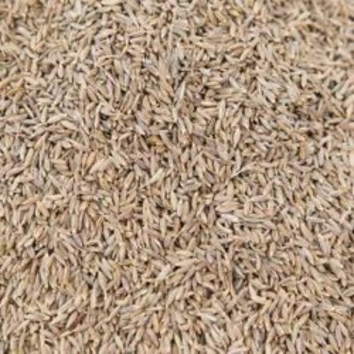 Cumin Seed - Product Type: Dried