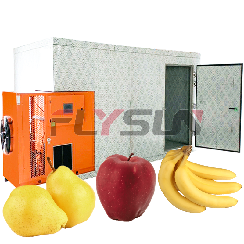 Energy-saving Heat Pump Dryer Room Fruit Dehydrator