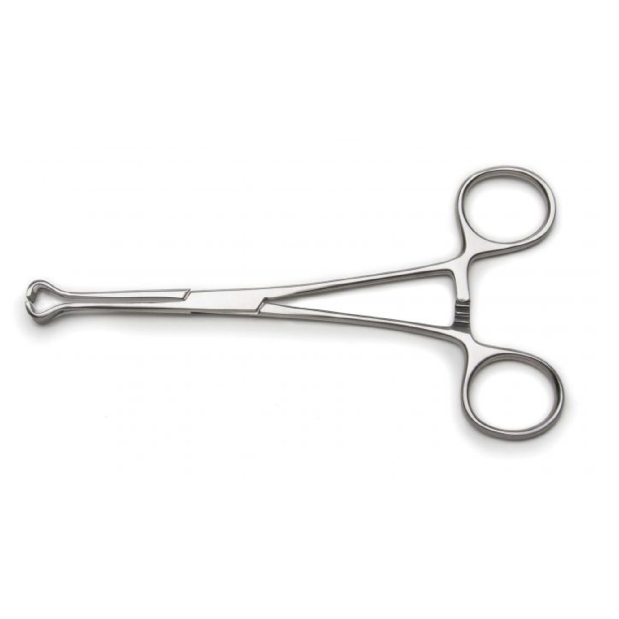 Agarwals Babcock Tissue Forcep 8" - Material: Steel