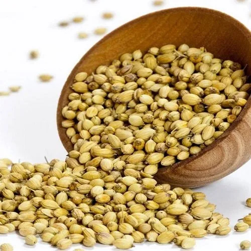Coriander Seeds - Variety: Bottle Gourd