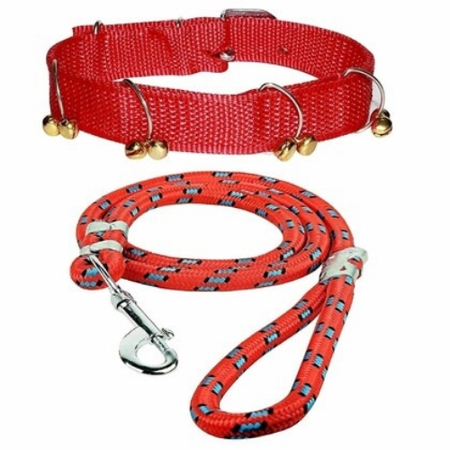 Pet Belts