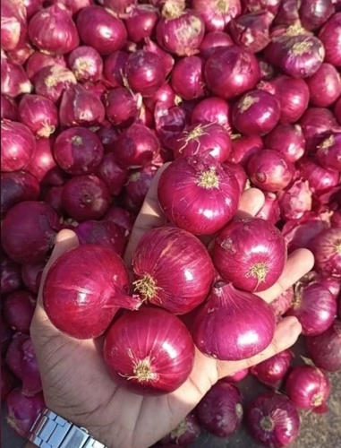 Red Onion