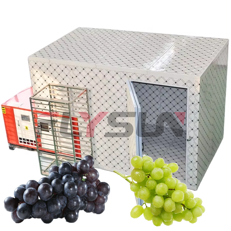 Commercial Food Dryer Room Fruit Dehydrator Grape Box-Type Drying Machine